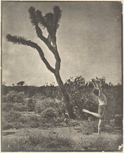 [Danser ved Joshua Tree] af Louis Fleckenstein