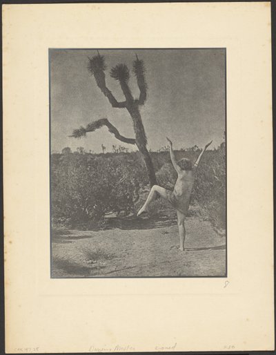 Dansende mester af Louis Fleckenstein