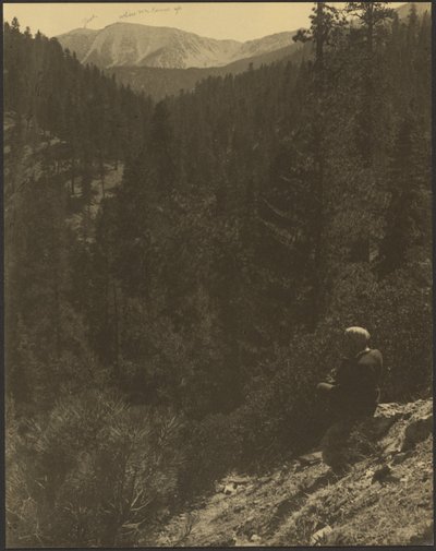 Fjernudsigt over Mt. Gorgonio af Louis Fleckenstein