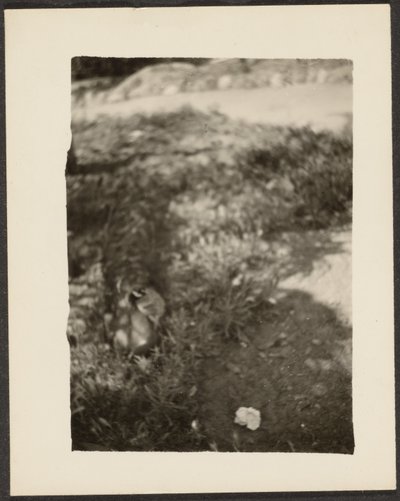 [And i landskab] af Louis Fleckenstein