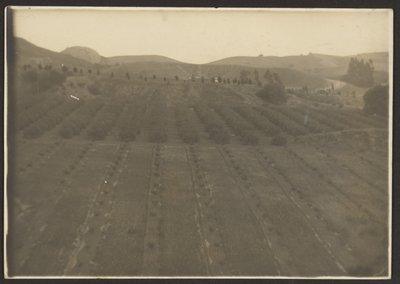 [Farm Landscape] af Louis Fleckenstein