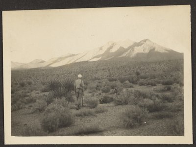 [Figur i landskab]. af Louis Fleckenstein