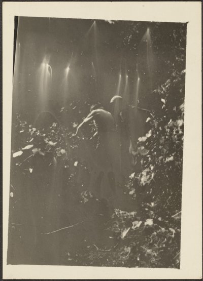 [Figurer i skoven] af Louis Fleckenstein