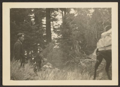 [Figurer i et træbevokset landskab]. af Louis Fleckenstein