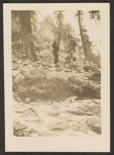 [Landskab] af Louis Fleckenstein