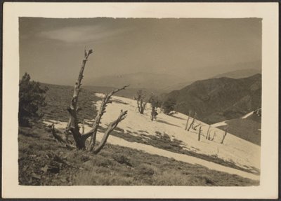 [Landskab] af Louis Fleckenstein