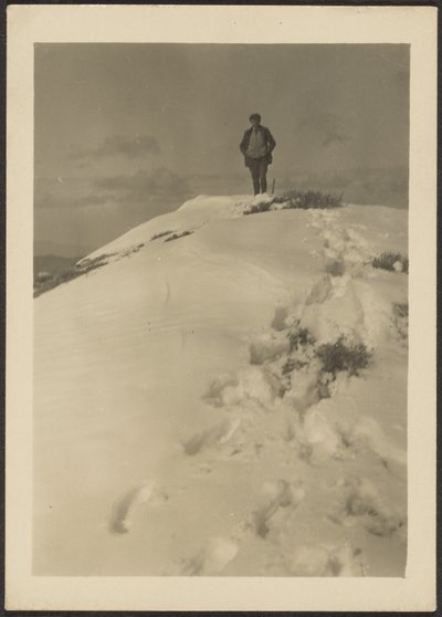 [Louis Fleckenstein på Telescope Peak]. af Louis Fleckenstein