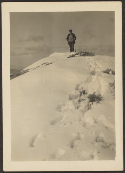 [Louis Fleckenstein på Telescope Peak]. af Louis Fleckenstein