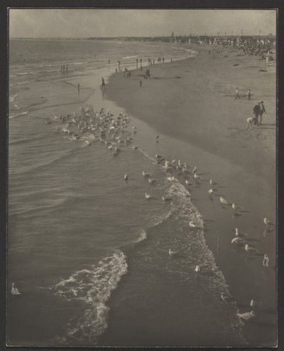 Newport Beach af Louis Fleckenstein