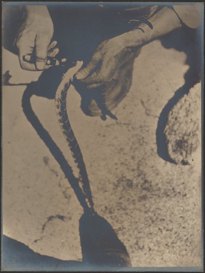  af Louis Fleckenstein
