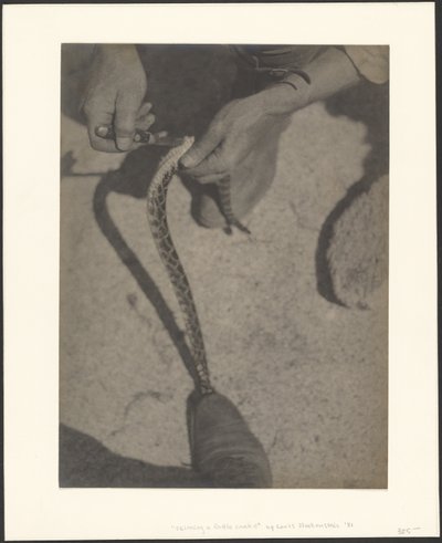  af Louis Fleckenstein