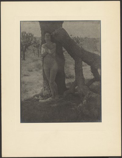 Joshua