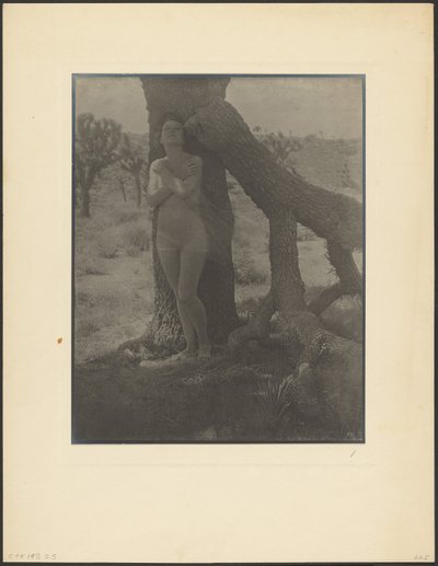 Joshua-ånden af Louis Fleckenstein