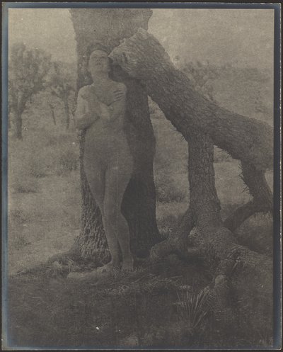Joshua-ånden af Louis Fleckenstein