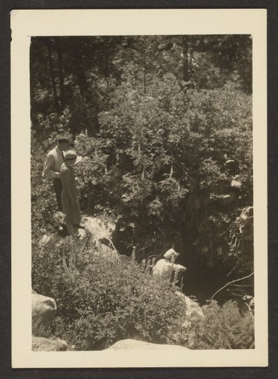 [Forår i Fern Valley] af Louis Fleckenstein