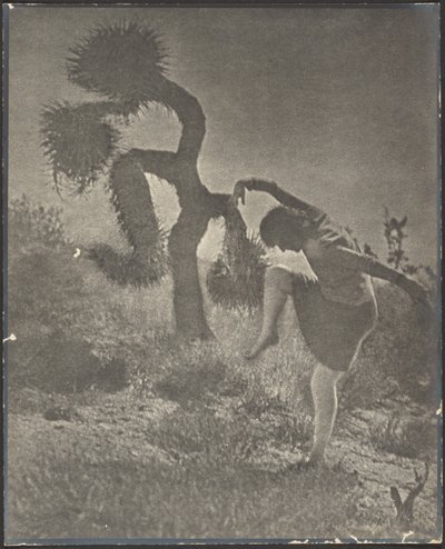  af Louis Fleckenstein
