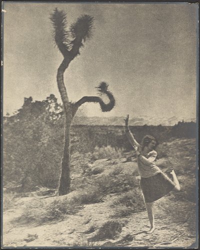 »Corkscrew Twist« af Louis Fleckenstein