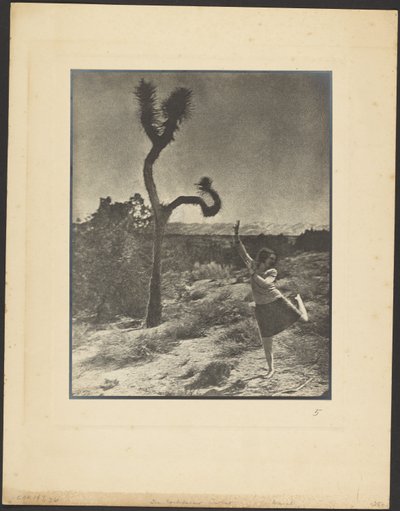  af Louis Fleckenstein