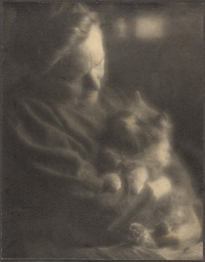 Kæledyr-angoraen af Louis Fleckenstein