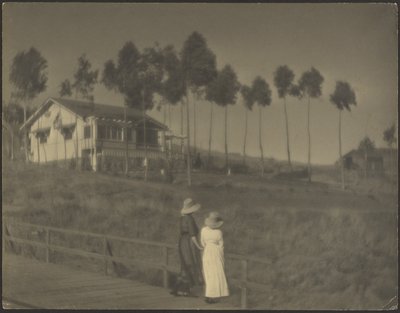 Den hvide hytte af Louis Fleckenstein
