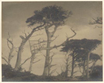 Tvillingebrødre - Carmel af Louis Fleckenstein