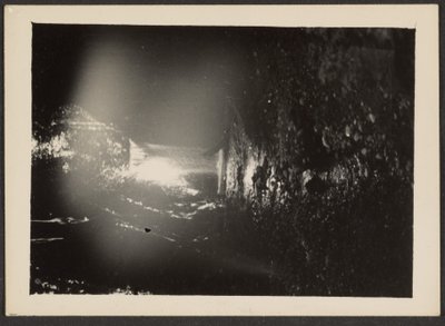 [Vandfald ved Rogue River] af Louis Fleckenstein