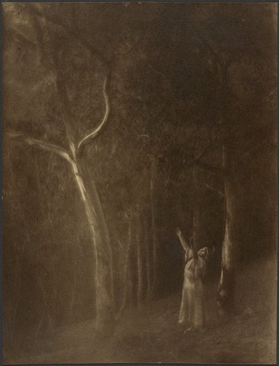 [Kvinde, der beder midt i træerne]. af Louis Fleckenstein