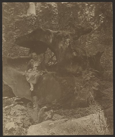  af Louis Fleckenstein