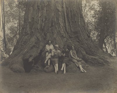 [Kvinder med kameraer ved foden af et træ]. af Louis Fleckenstein