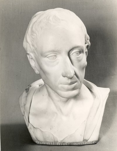 Buste af Alexander Pope (marmor) af Louis Francois Roubillac