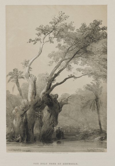 Egypten og Nubien, bind III: Metereahs hellige træ, 1849. af Louis Haghe
