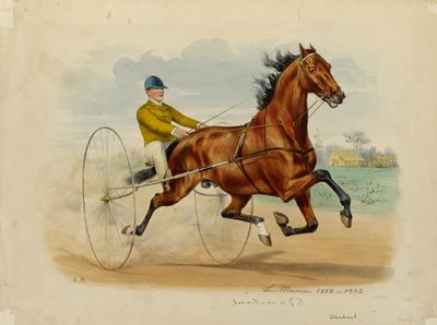 Stamboul af Louis Maurer