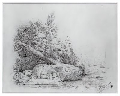 Faldet træ, Keene Valley, 25. juli 1883. af Louis Michel Eilshemius