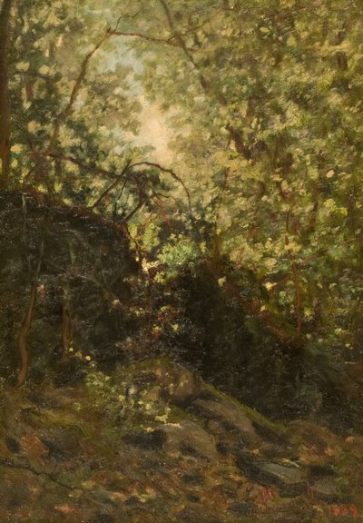 Nat gennem skoven, 1889. af Louis Michel Eilshemius