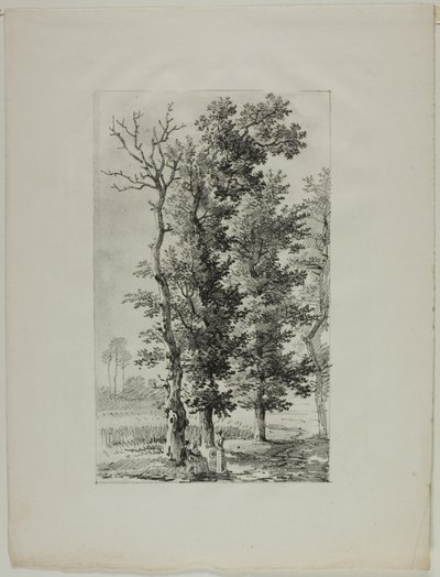Undersøgelse af træer af Louis Pierre Baltard