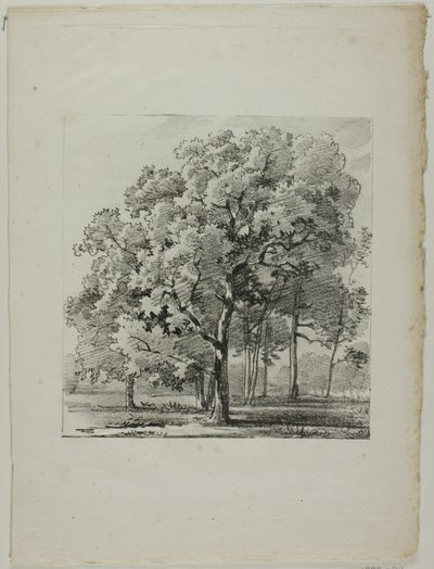 Studie af træer af Louis Pierre Baltard