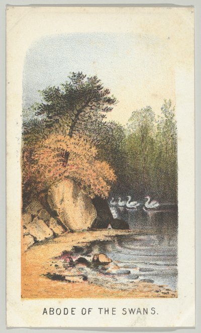 Abode of the Swans, fra serien, Views in Central Park, New York, del 2, 1864. af Louis Prang