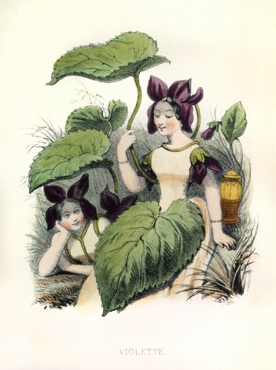  af Louis Simon (1810-1870) Lassalle