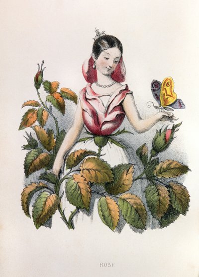  af Louis Simon (1810-1870) Lassalle