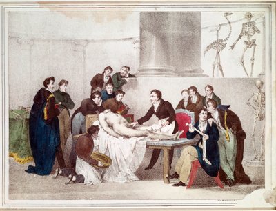 Anatomi lektionen (litografi af Louis Thomas Bardel