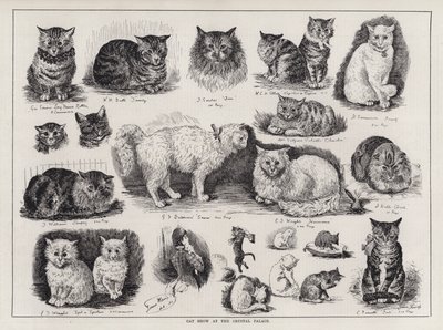 Katteudstilling i Crystal Palace (gravering) af Louis Wain