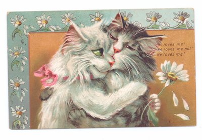 Edwardiansk postkort med to katte, der krammer hinanden, ca. 1910 af Louis Wain