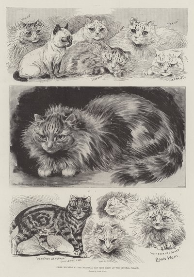 Prisvindere ved National Cat Club Show i Crystal Palace af Louis Wain