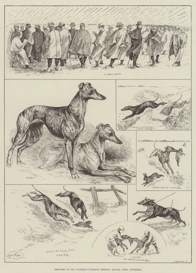 Skitser ved Waterloo Coursing Meeting, Altcar, nær Liverpool (gravering) af Louis Wain