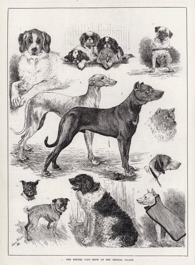Kennel Club Show på Crystal Palace (gravering) af Louis Wain