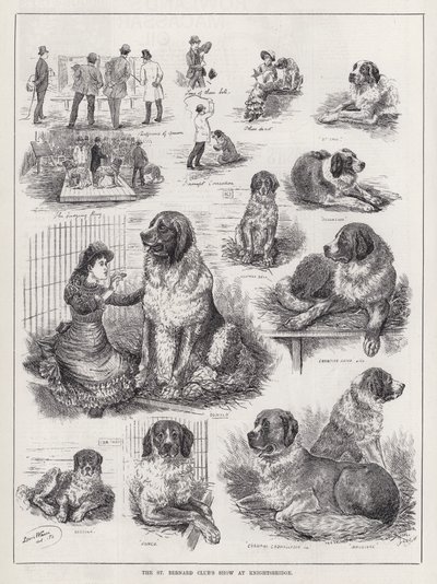 St Bernard Club