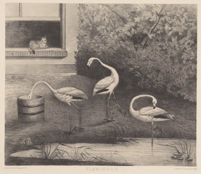 Tre flamingoer og en kat af Louise Marie Françoise van der Beek