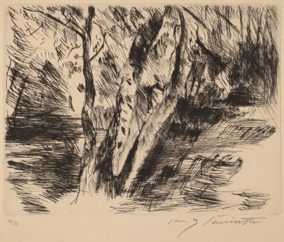 Birketræer i Tiergarten, 1920-1921. af Lovis Corinth