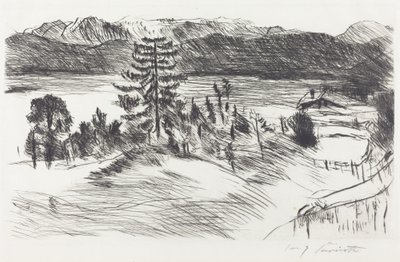 Grosse Walchenseelandschaft (stort Walchen-havlandskab) af Lovis Corinth