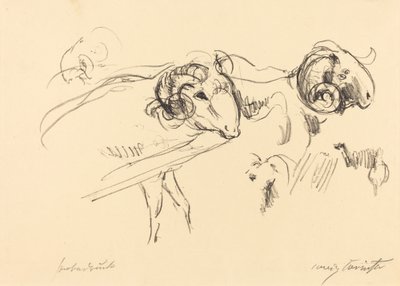 Schafböcke (væddere) af Lovis Corinth